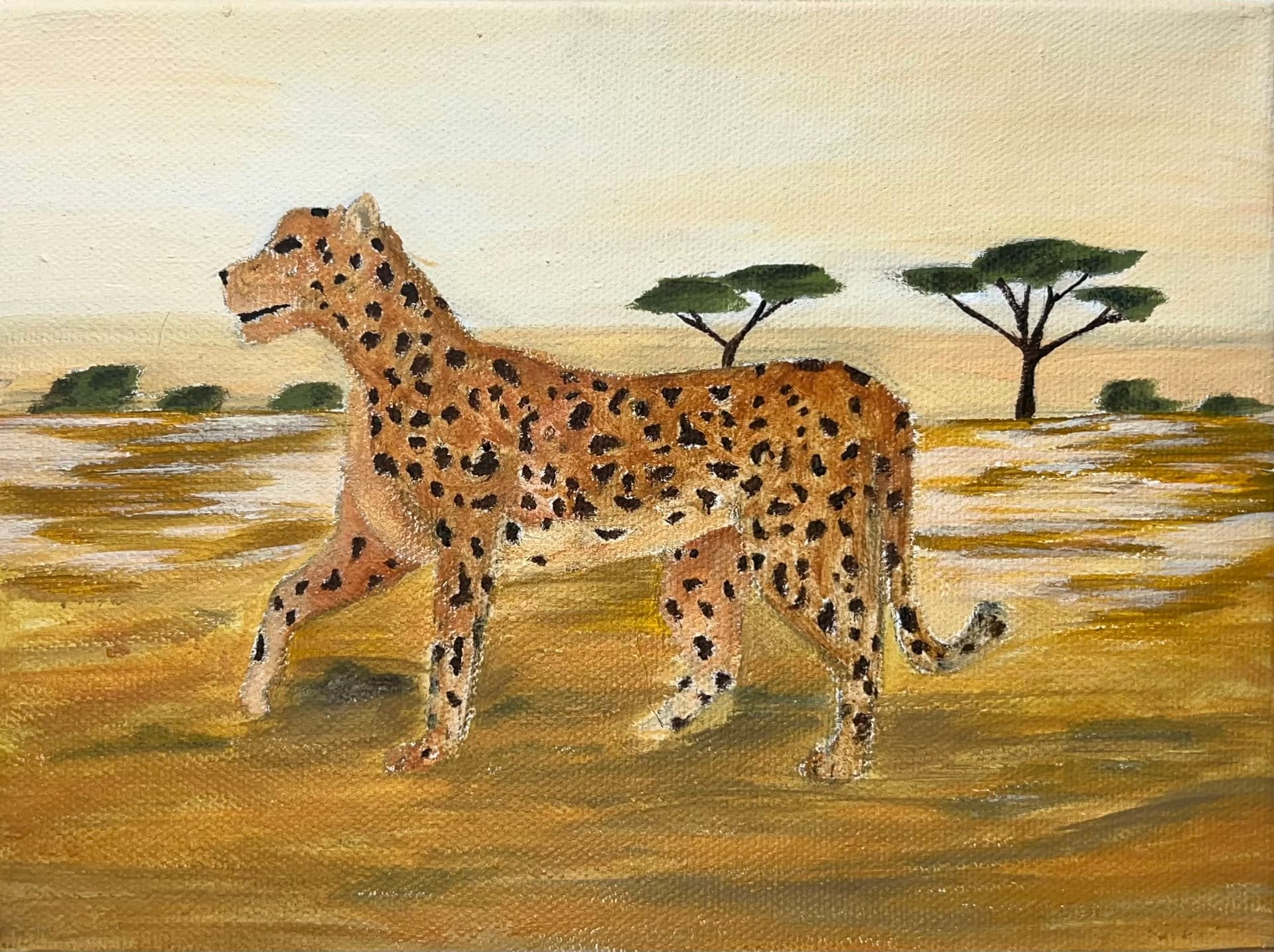 Leopardas